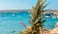 Thumbnail option two — beach club still